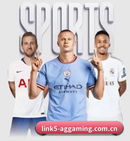 ag真人app免费版围绕看球场景设计的核心服务