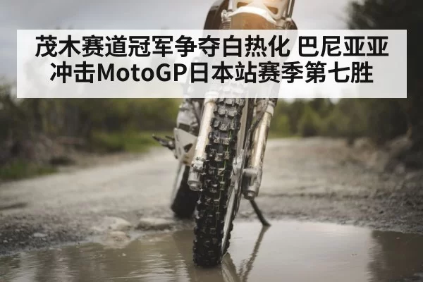 motorcycle racing tires
